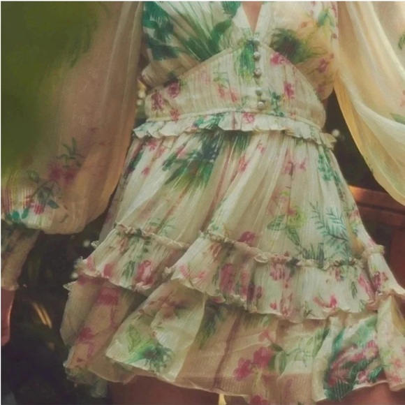 Hemant & Nandita botanical shimmer Zaina ruffle tiered mini dress - Picture 7 of 15